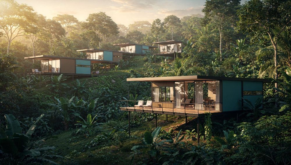 Modular eco-homes raised on steel frames above the forest floor